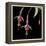 Graphic Fuchsia III-Jennifer Goldberger-Framed Stretched Canvas