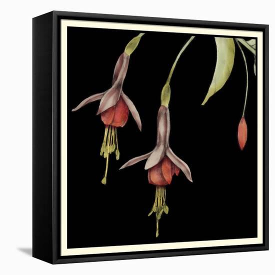 Graphic Fuchsia III-Jennifer Goldberger-Framed Stretched Canvas