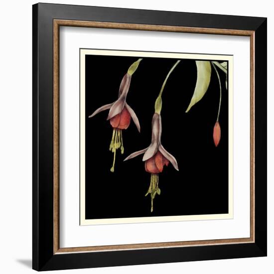 Graphic Fuchsia III-Jennifer Goldberger-Framed Art Print