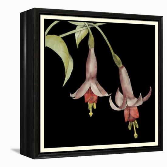 Graphic Fuchsia IV-Jennifer Goldberger-Framed Stretched Canvas