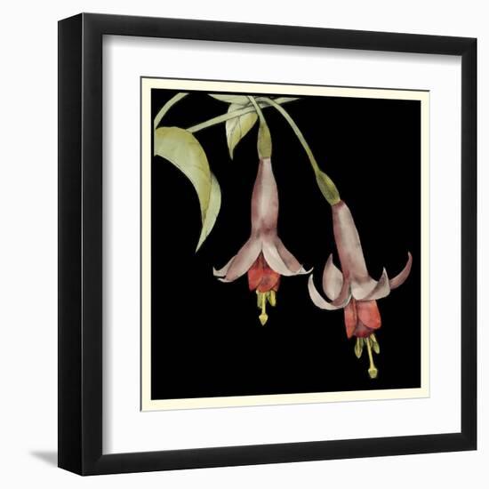 Graphic Fuchsia IV-Jennifer Goldberger-Framed Art Print