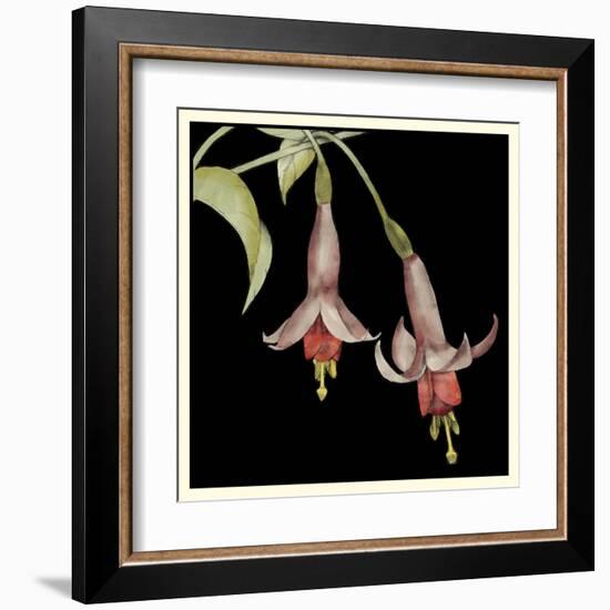 Graphic Fuchsia IV-Jennifer Goldberger-Framed Art Print