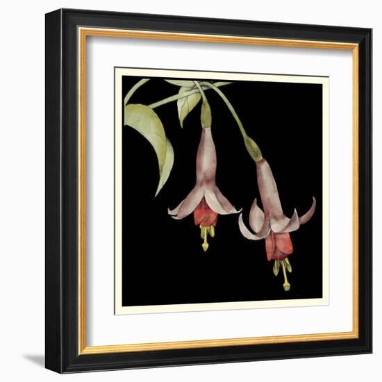 Graphic Fuchsia IV-Jennifer Goldberger-Framed Art Print