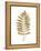 Graphic Gold Fern III-Studio W-Framed Stretched Canvas