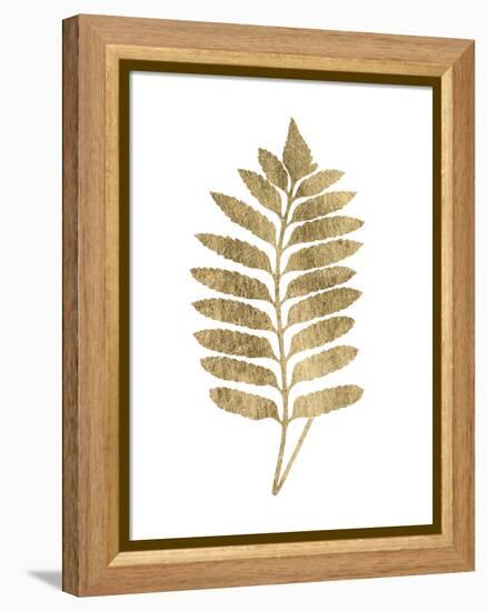 Graphic Gold Fern III-Studio W-Framed Stretched Canvas