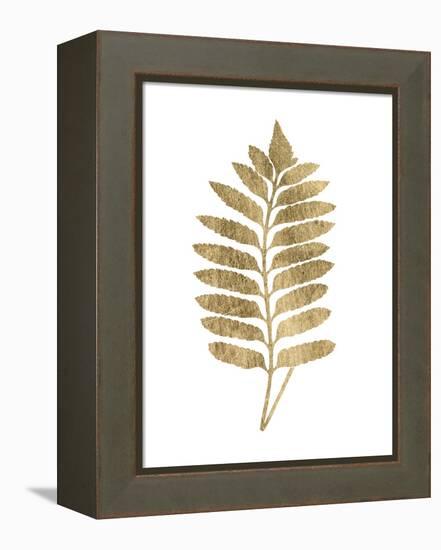 Graphic Gold Fern III-Studio W-Framed Stretched Canvas