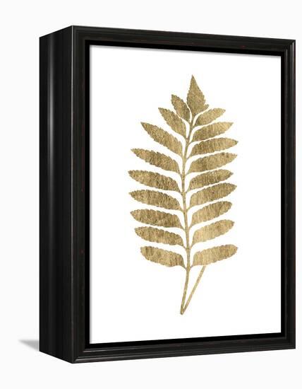 Graphic Gold Fern III-Studio W-Framed Stretched Canvas