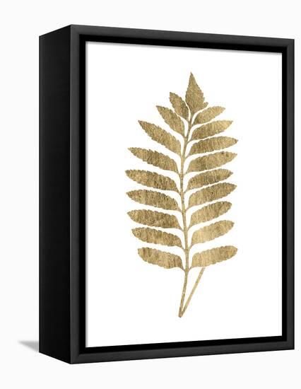 Graphic Gold Fern III-Studio W-Framed Stretched Canvas