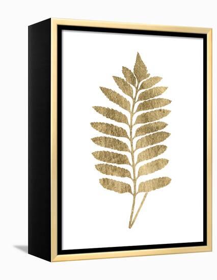 Graphic Gold Fern III-Studio W-Framed Stretched Canvas