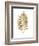 Graphic Gold Fern III-Studio W-Framed Art Print