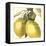 Graphic Lemon-Vision Studio-Framed Stretched Canvas