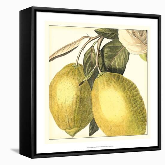 Graphic Lemon-Vision Studio-Framed Stretched Canvas