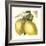 Graphic Lemon-Vision Studio-Framed Art Print