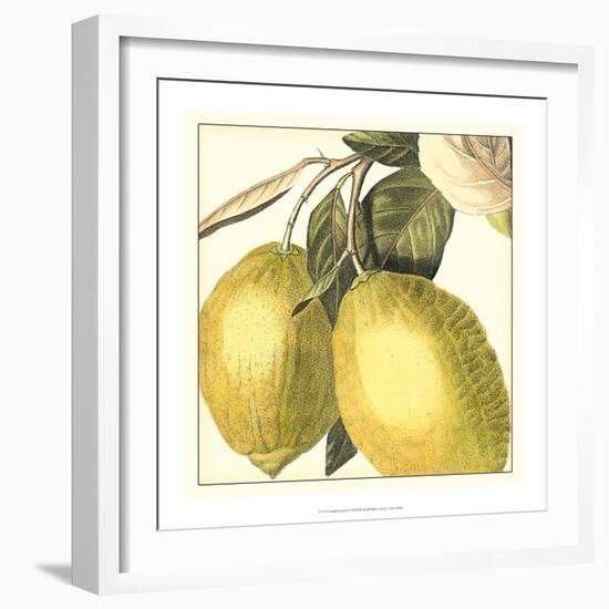 Graphic Lemon-Vision Studio-Framed Art Print