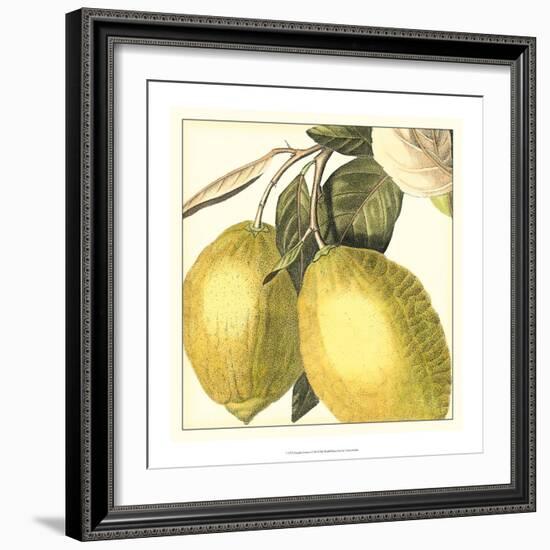 Graphic Lemon-Vision Studio-Framed Art Print