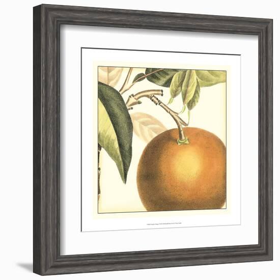 Graphic Orange-Vision Studio-Framed Art Print