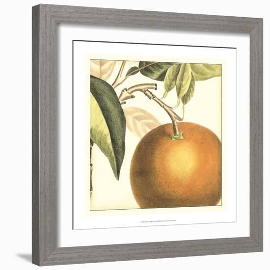 Graphic Orange-Vision Studio-Framed Art Print