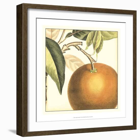 Graphic Orange-Vision Studio-Framed Art Print