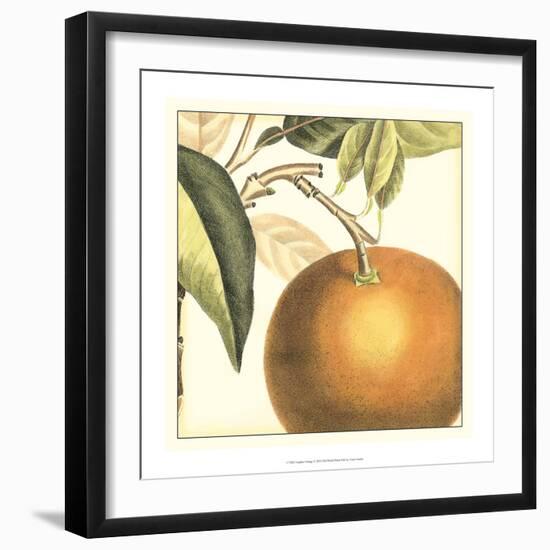 Graphic Orange-Vision Studio-Framed Art Print