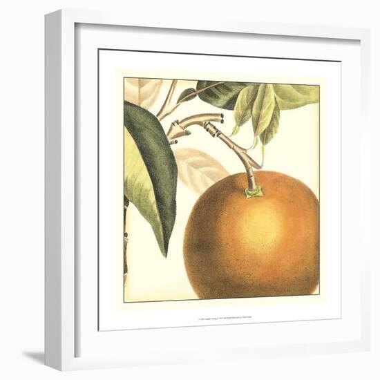 Graphic Orange-Vision Studio-Framed Art Print