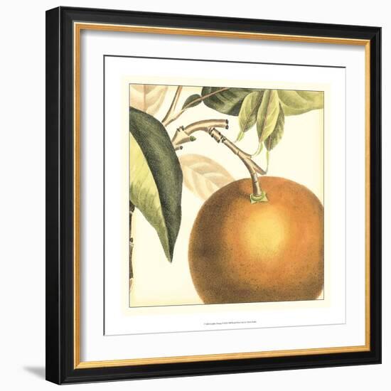 Graphic Orange-Vision Studio-Framed Art Print