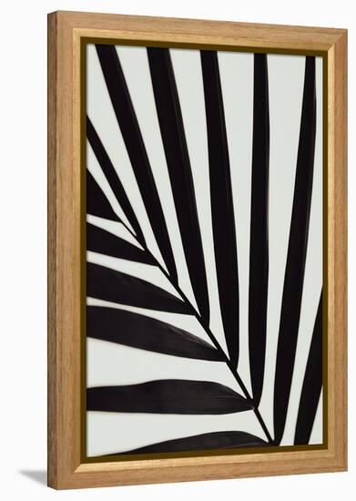 Graphic palm leaf_1-1x Studio III-Framed Premier Image Canvas