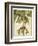 Graphic Palms II-Jennifer Goldberger-Framed Art Print