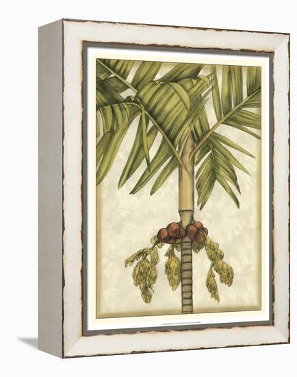 Graphic Palms II-Jennifer Goldberger-Framed Stretched Canvas