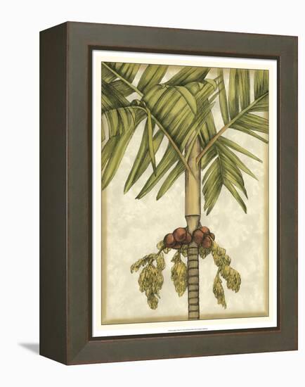 Graphic Palms II-Jennifer Goldberger-Framed Stretched Canvas