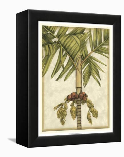 Graphic Palms II-Jennifer Goldberger-Framed Stretched Canvas