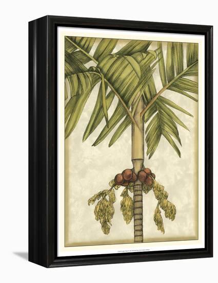 Graphic Palms II-Jennifer Goldberger-Framed Stretched Canvas