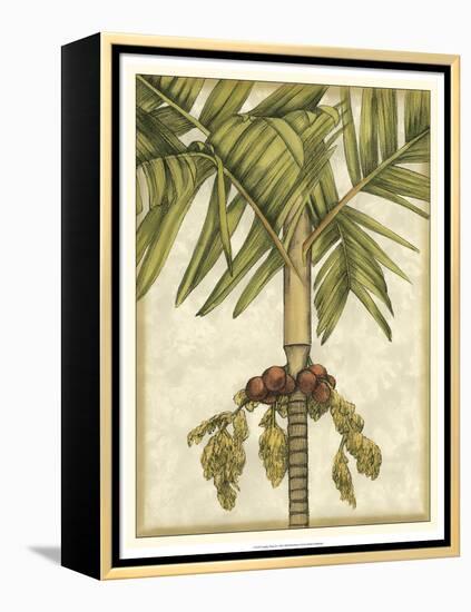 Graphic Palms II-Jennifer Goldberger-Framed Stretched Canvas
