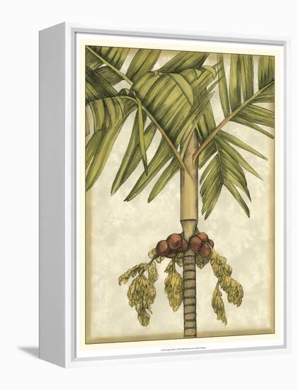 Graphic Palms II-Jennifer Goldberger-Framed Stretched Canvas