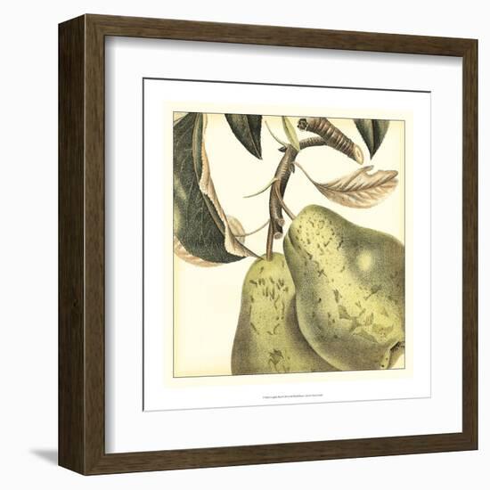 Graphic Pear-Vision Studio-Framed Art Print