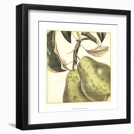 Graphic Pear-Vision Studio-Framed Art Print