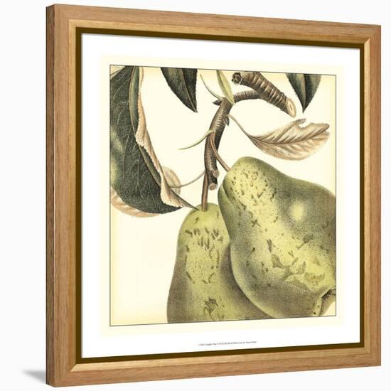 Graphic Pear-Vision Studio-Framed Stretched Canvas