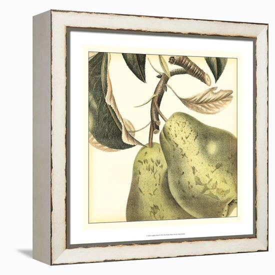 Graphic Pear-Vision Studio-Framed Stretched Canvas