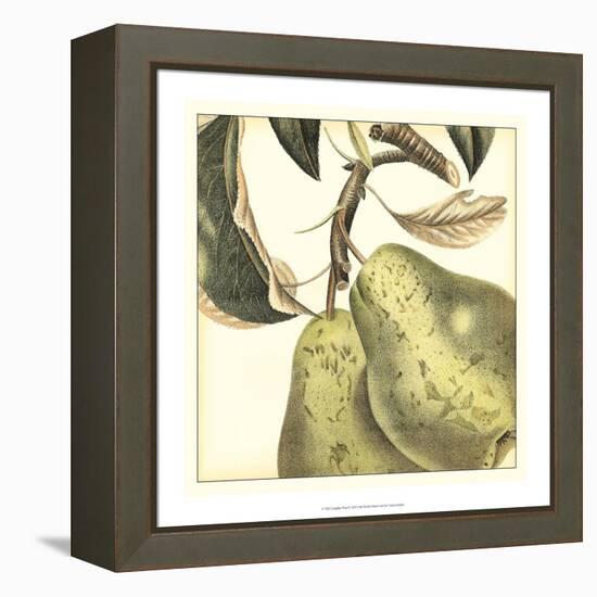Graphic Pear-Vision Studio-Framed Stretched Canvas