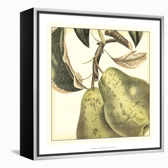 Graphic Pear-Vision Studio-Framed Stretched Canvas