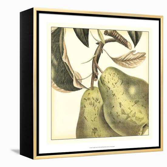 Graphic Pear-Vision Studio-Framed Stretched Canvas