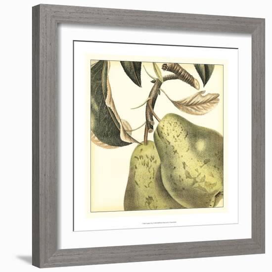 Graphic Pear-Vision Studio-Framed Art Print