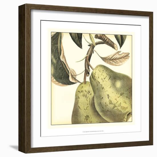 Graphic Pear-Vision Studio-Framed Art Print