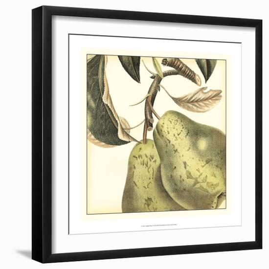 Graphic Pear-Vision Studio-Framed Art Print