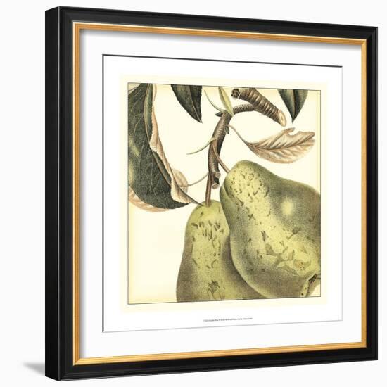 Graphic Pear-Vision Studio-Framed Art Print