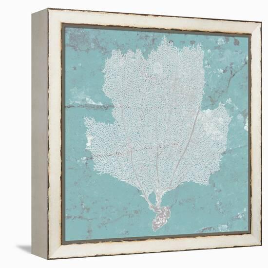 Graphic Sea Fan III-Studio W-Framed Stretched Canvas