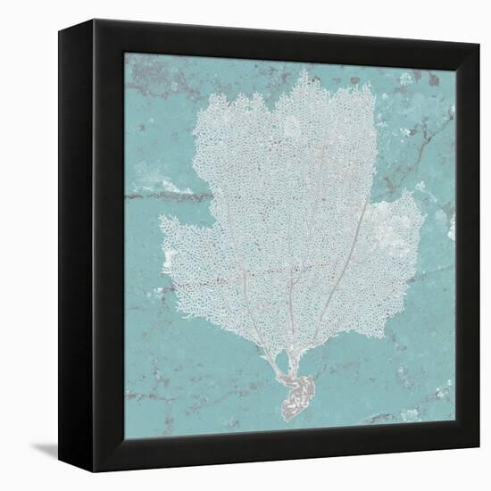 Graphic Sea Fan III-Studio W-Framed Stretched Canvas
