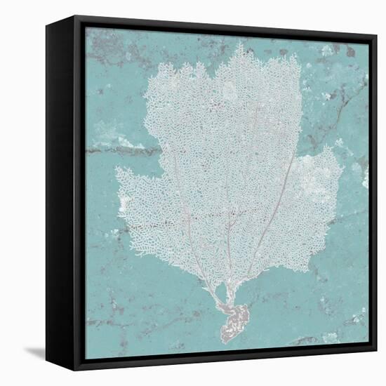 Graphic Sea Fan III-Studio W-Framed Stretched Canvas