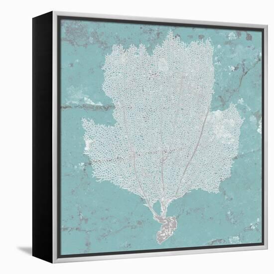 Graphic Sea Fan III-Studio W-Framed Stretched Canvas