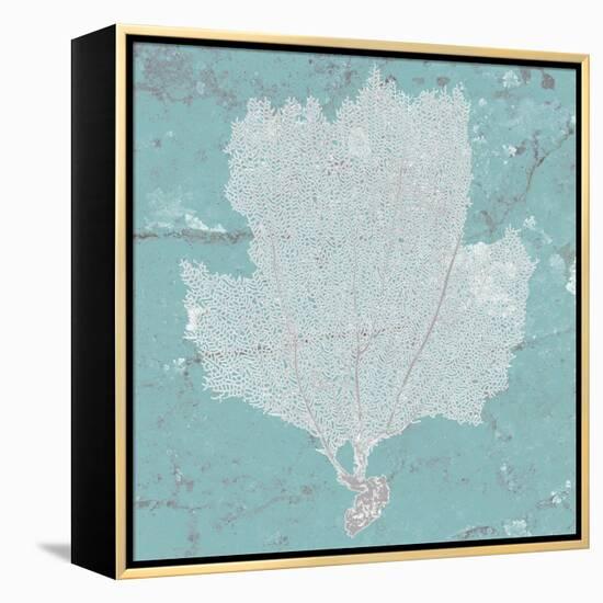 Graphic Sea Fan III-Studio W-Framed Stretched Canvas