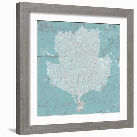 Graphic Sea Fan III-Studio W-Framed Art Print